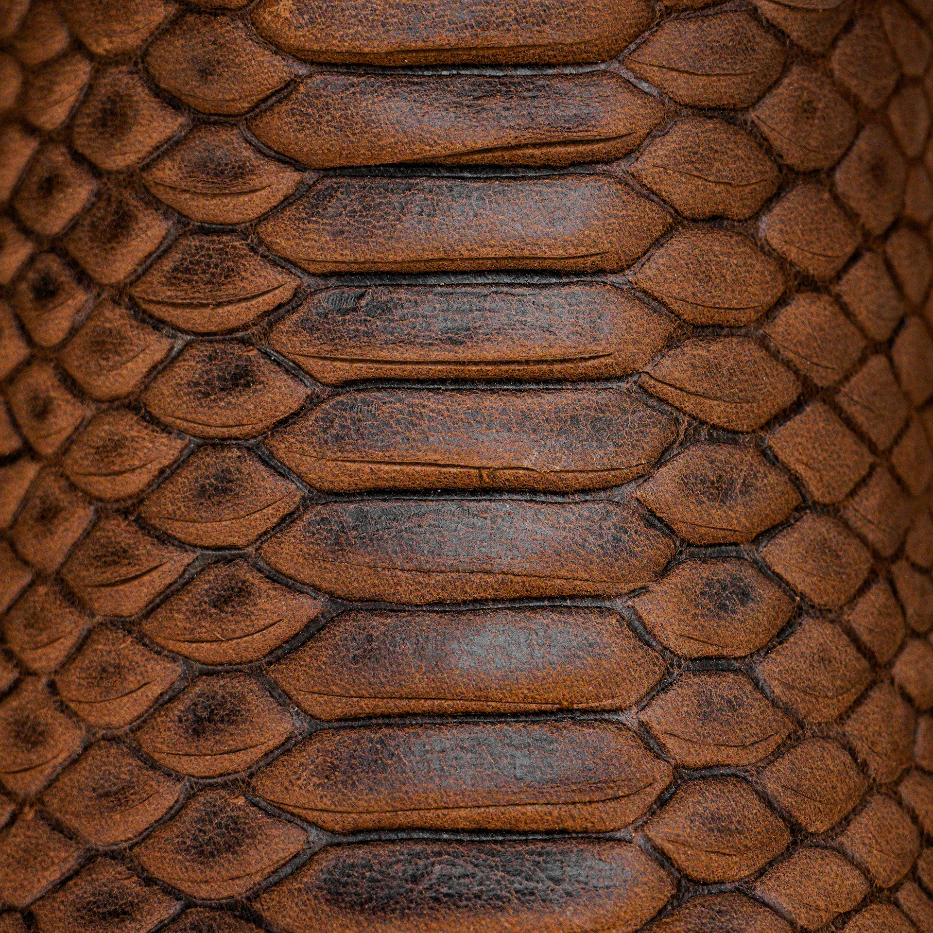 Matte Brown Python – Square Toe - Image 4