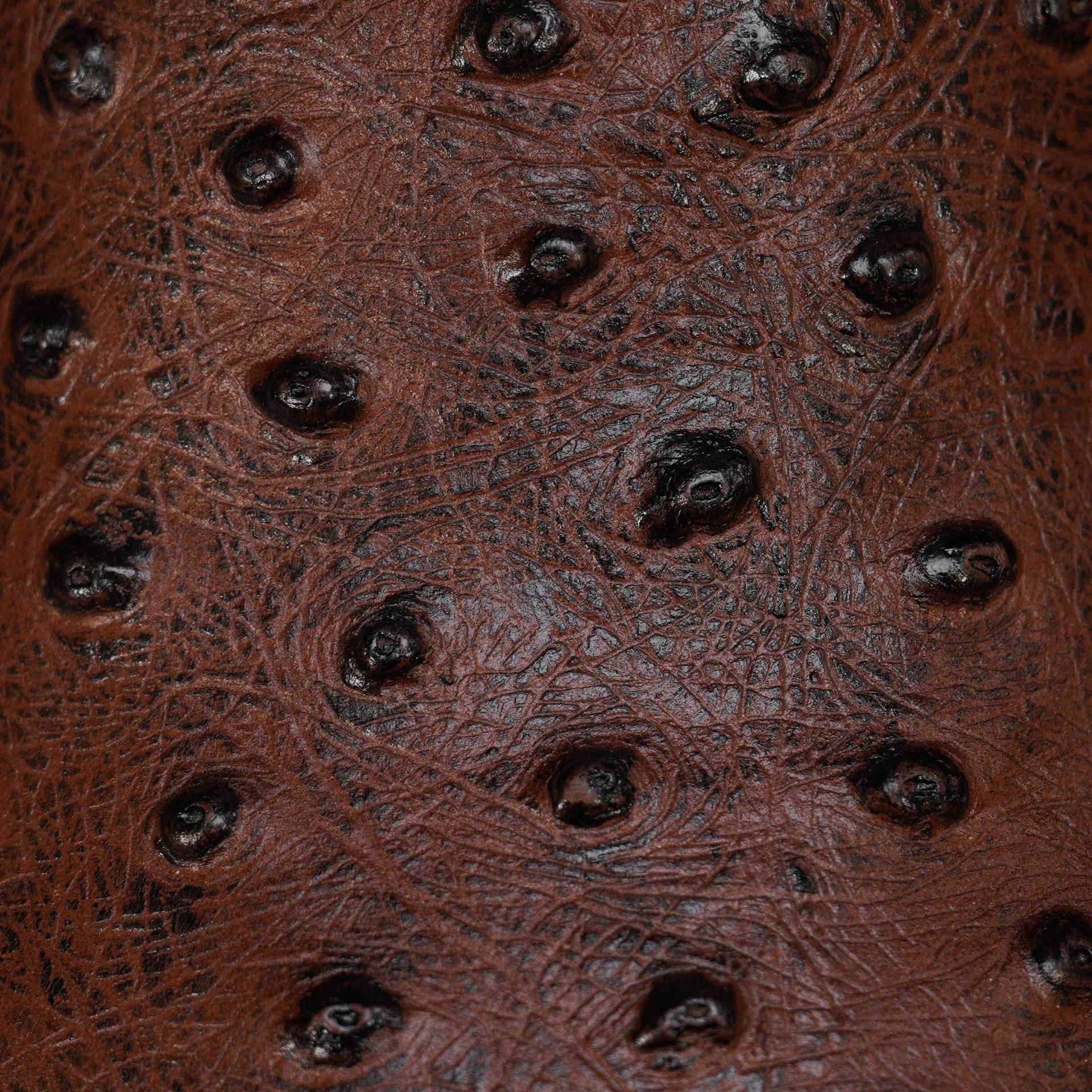 Brown Ostrich – Square Toe - Image 4