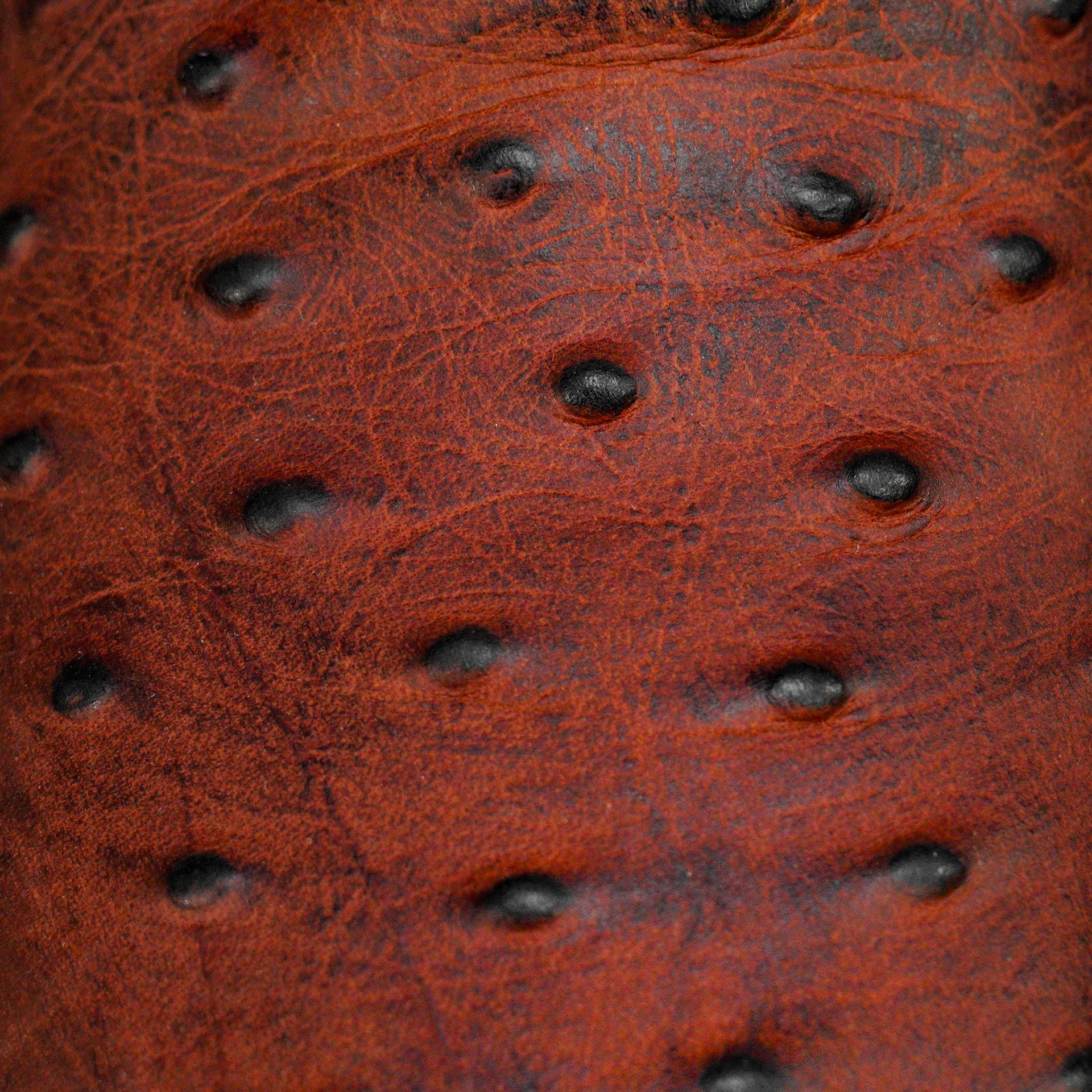 Matte Cognac Ostrich – Square Toe - Image 4