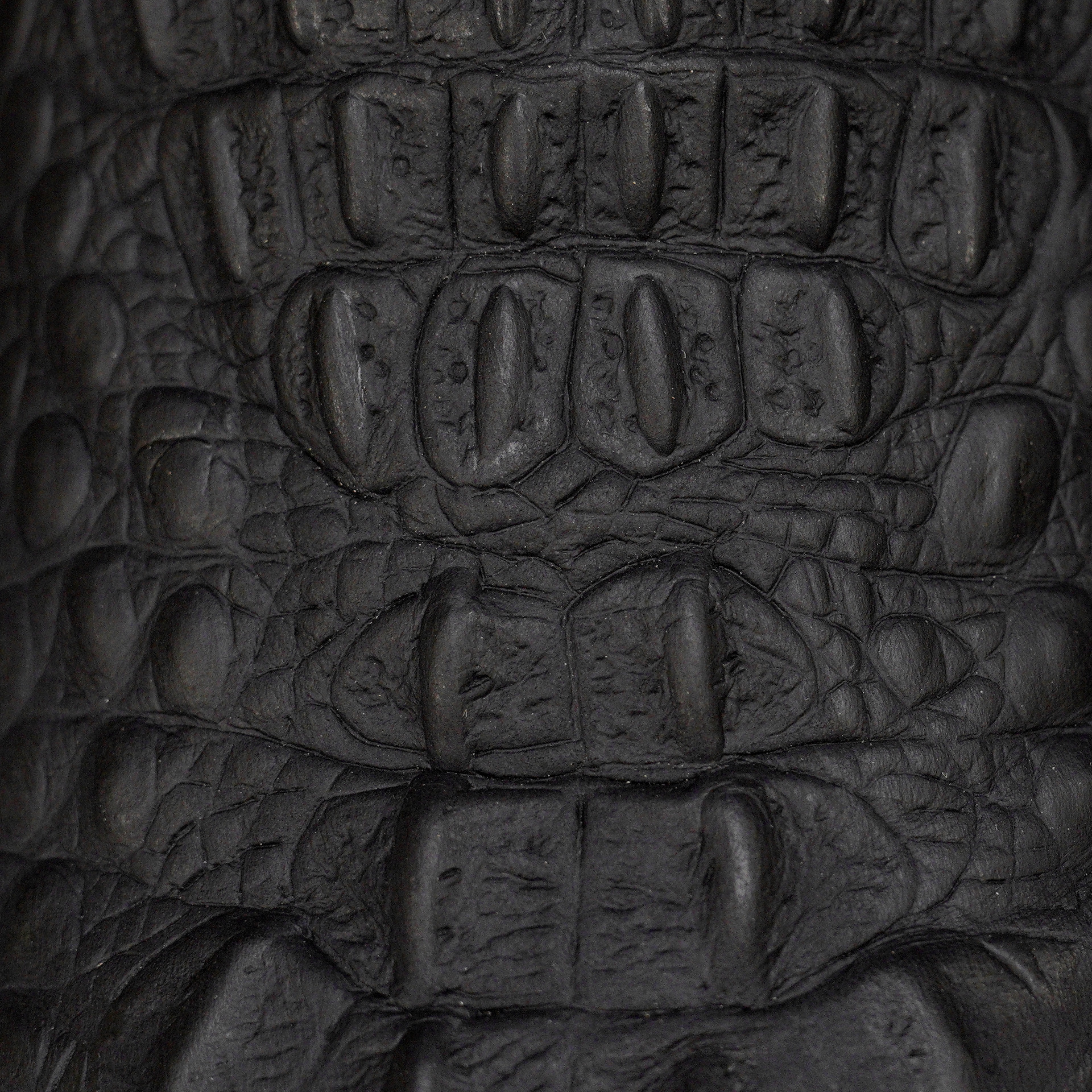 Matte Black Caiman Neck - Square Toe - Image 4