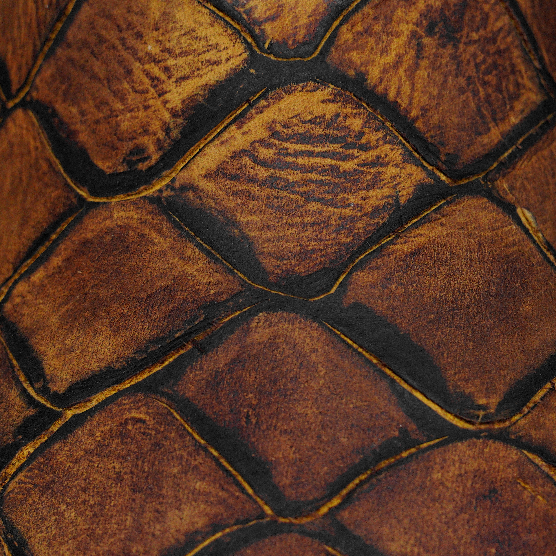 Matte Honey Fish Scale – Square Toe - Image 4