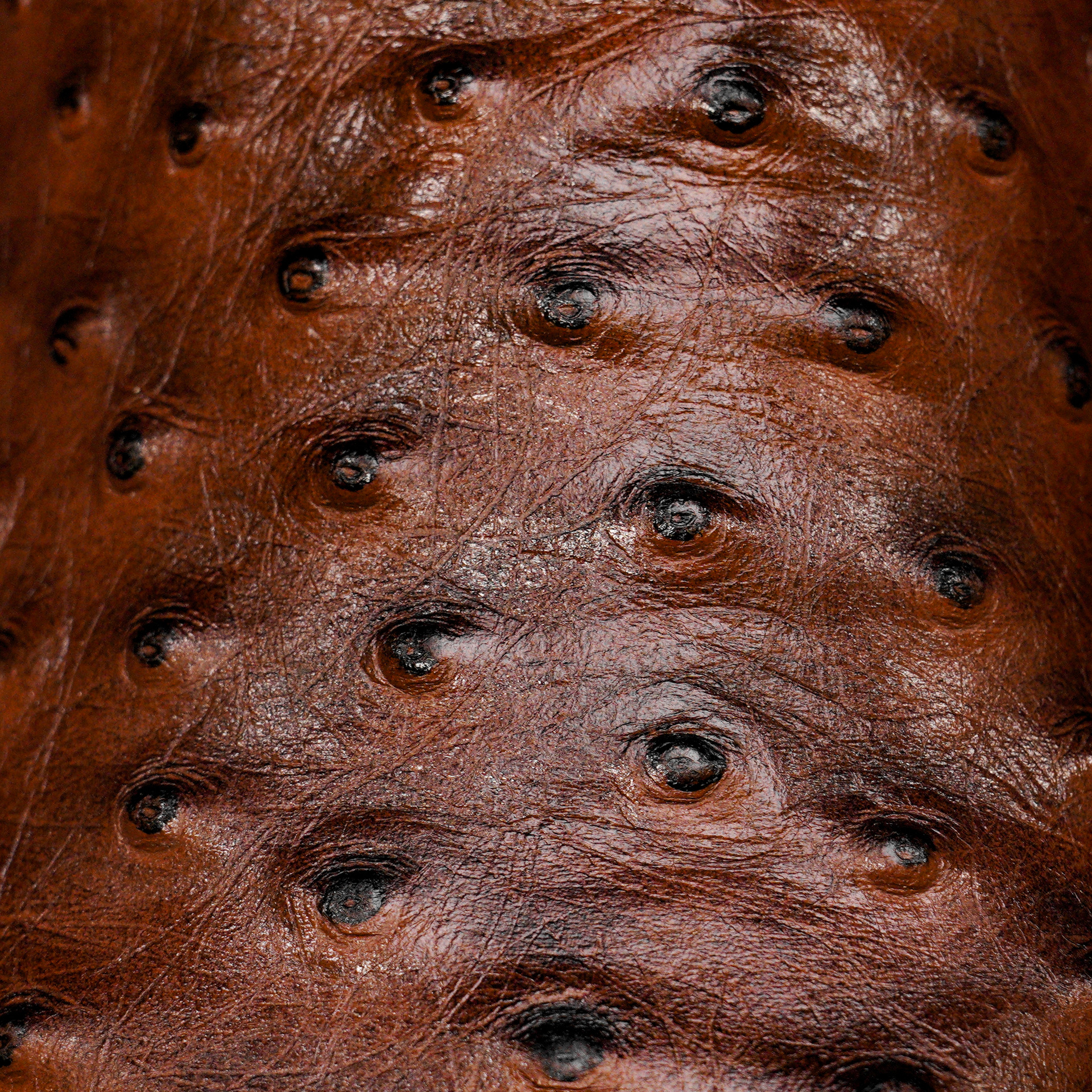 Brown Ostrich Chelsea Boot – Square Toe - Image 5