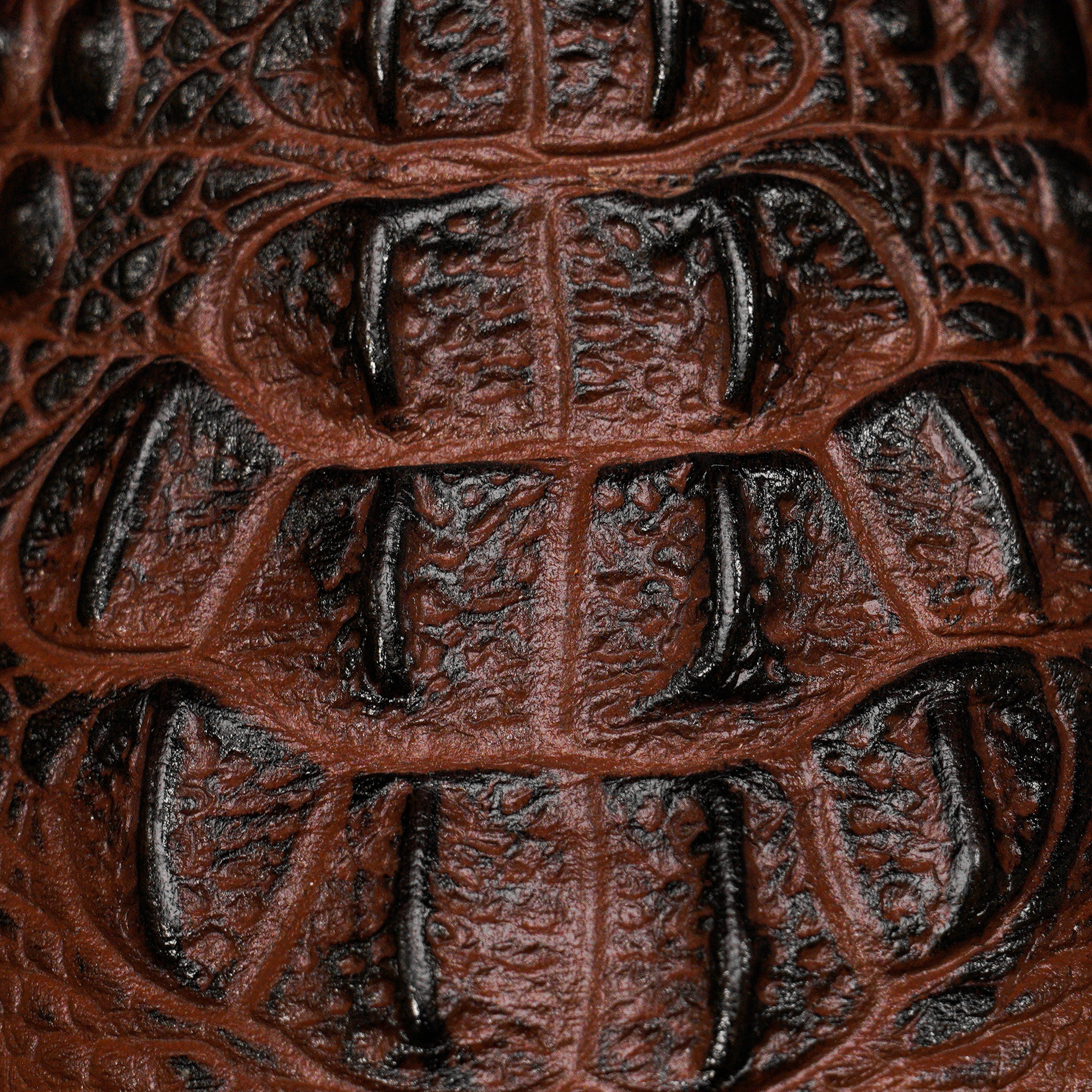 Brown Caiman Neck - Square Toe - Image 4