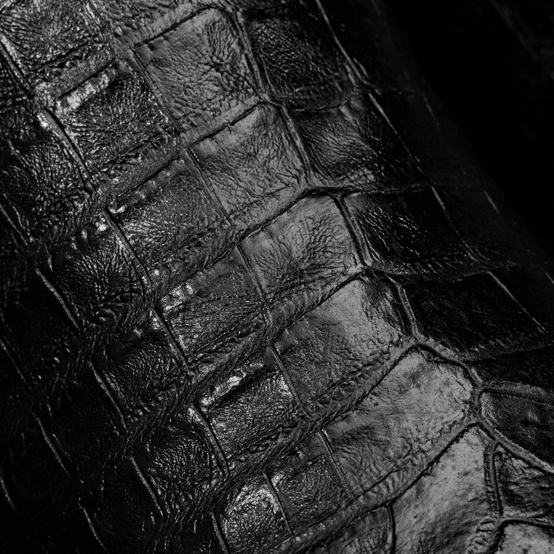 Black Caiman Belly - Square Toe - Image 3