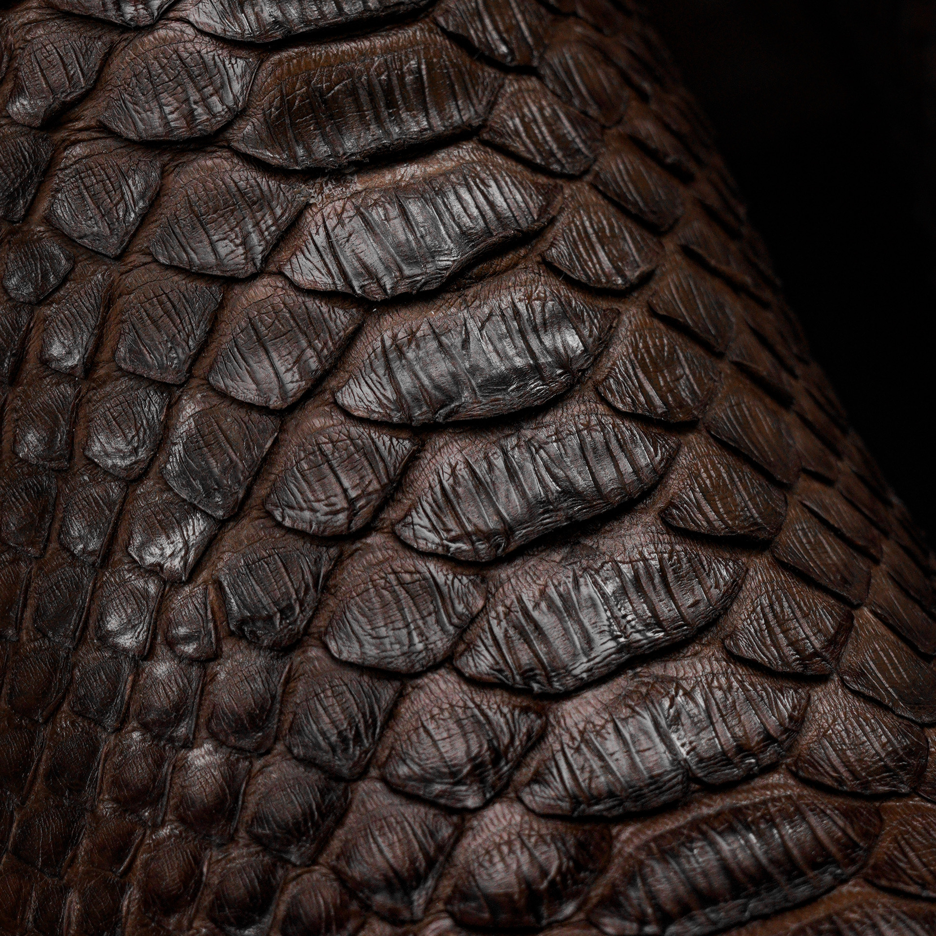 AUTHENTIC Brown Python – Square Toe - Image 4