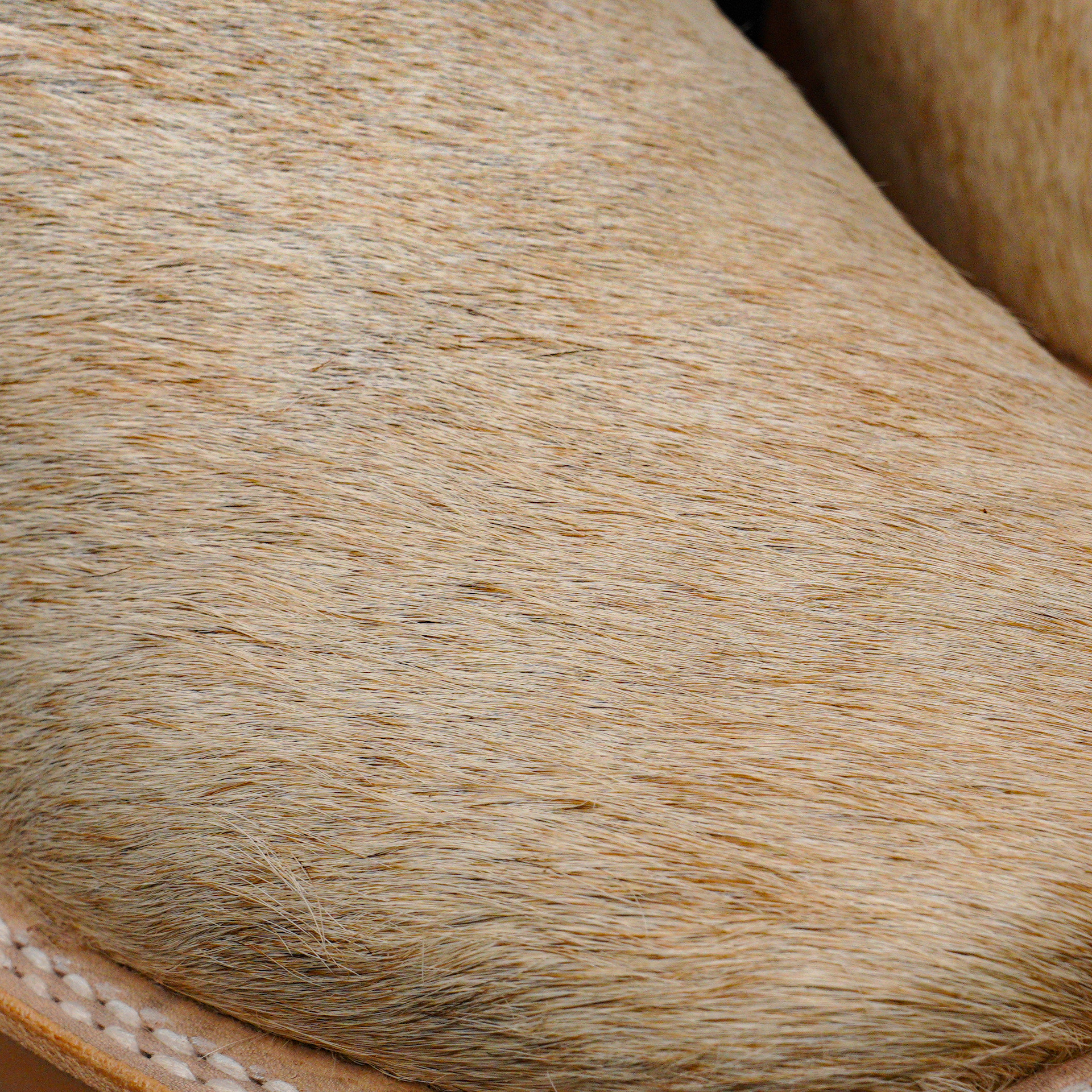 Authentic Hair on Hide – Square Toe - Image 4