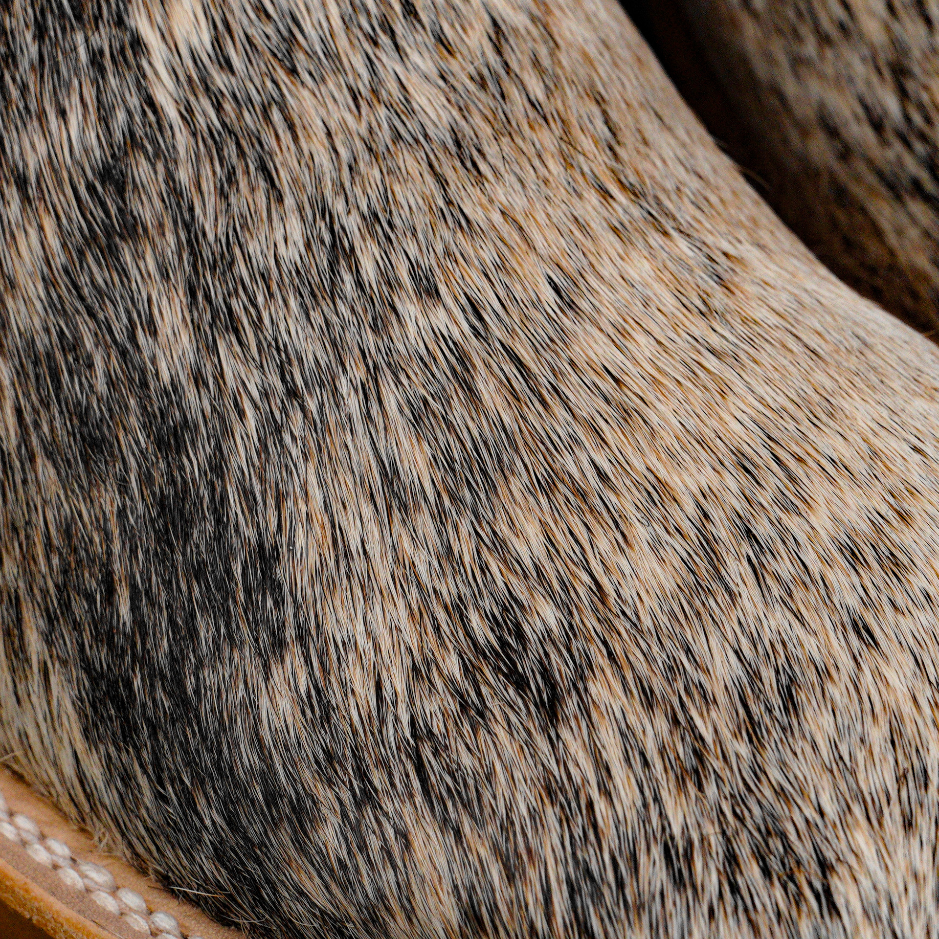 Genuine Hair on Hide – Square Toe - Image 4