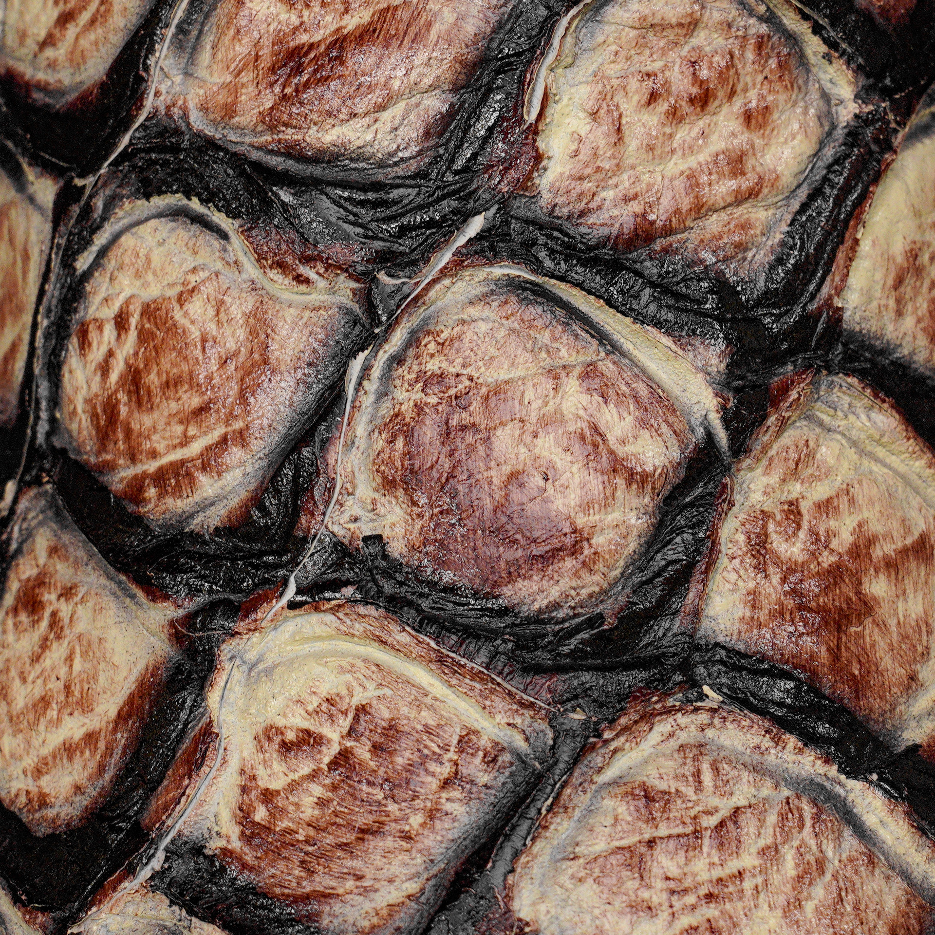 Natural Fish Scale – Square Toe - Image 4