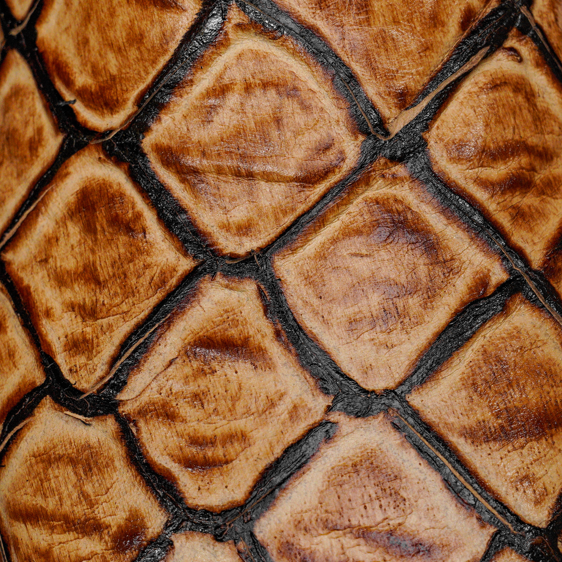 Orix Fish Scale – Square Toe - Image 4