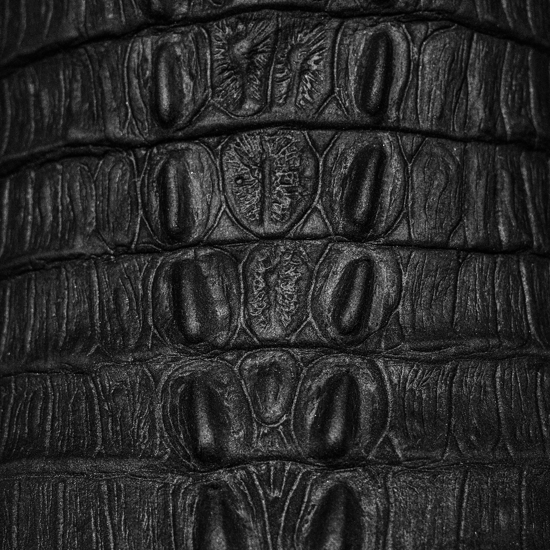 Matte Black Caiman Tail - Square Toe - Image 4