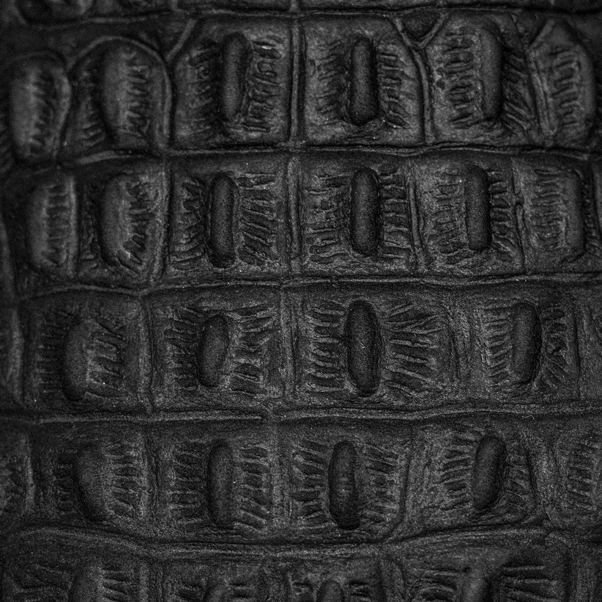 Matte Black Caiman Horn Back - Square Toe - Image 4