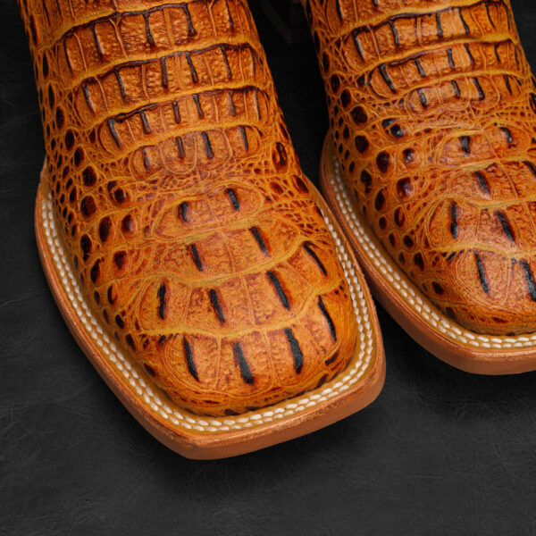 Honey Caiman Neck - Square Toe - Alfa Western WearAlfa Western Wear