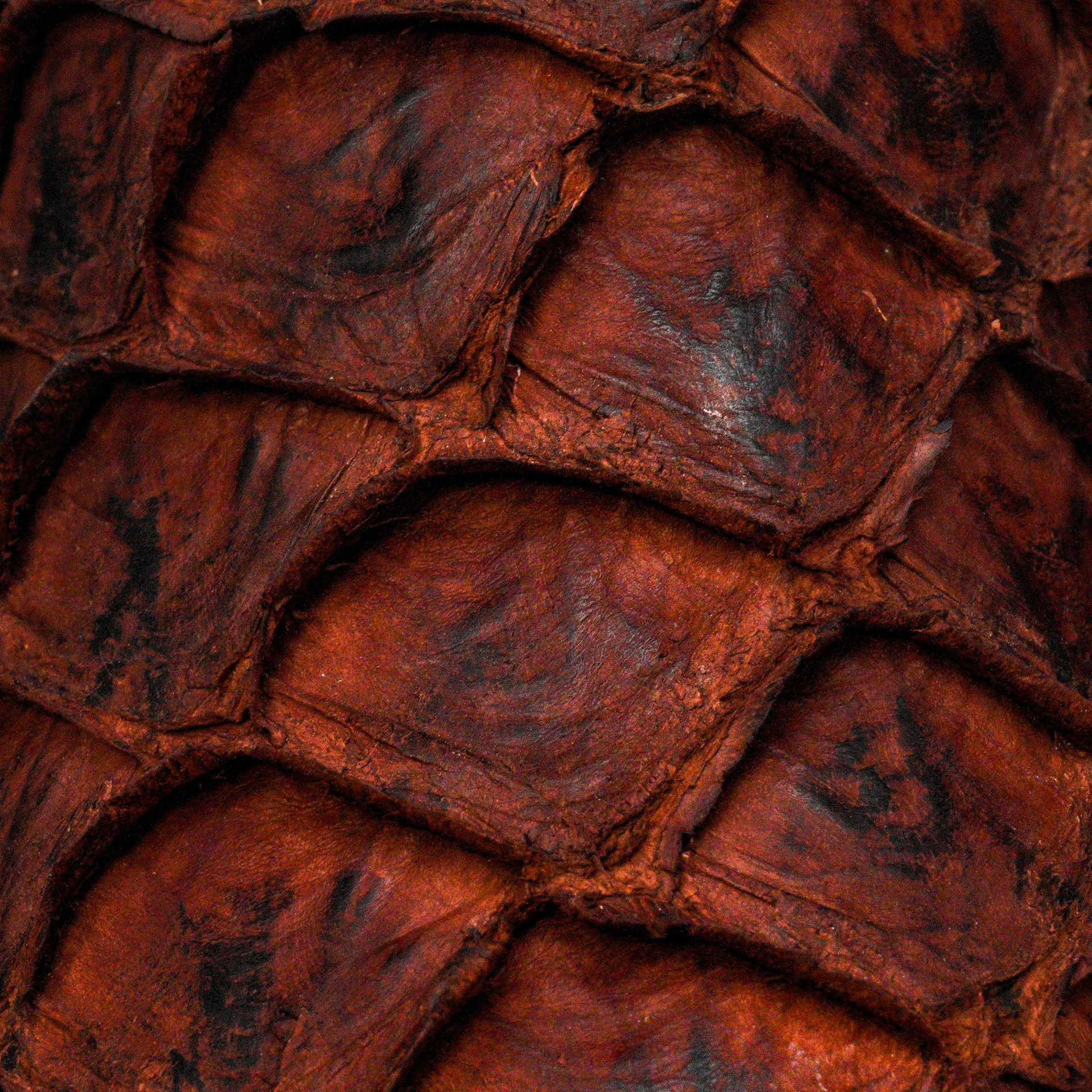 AUTHENTIC Matte Brown Pirarucu – Square Toe - Image 4