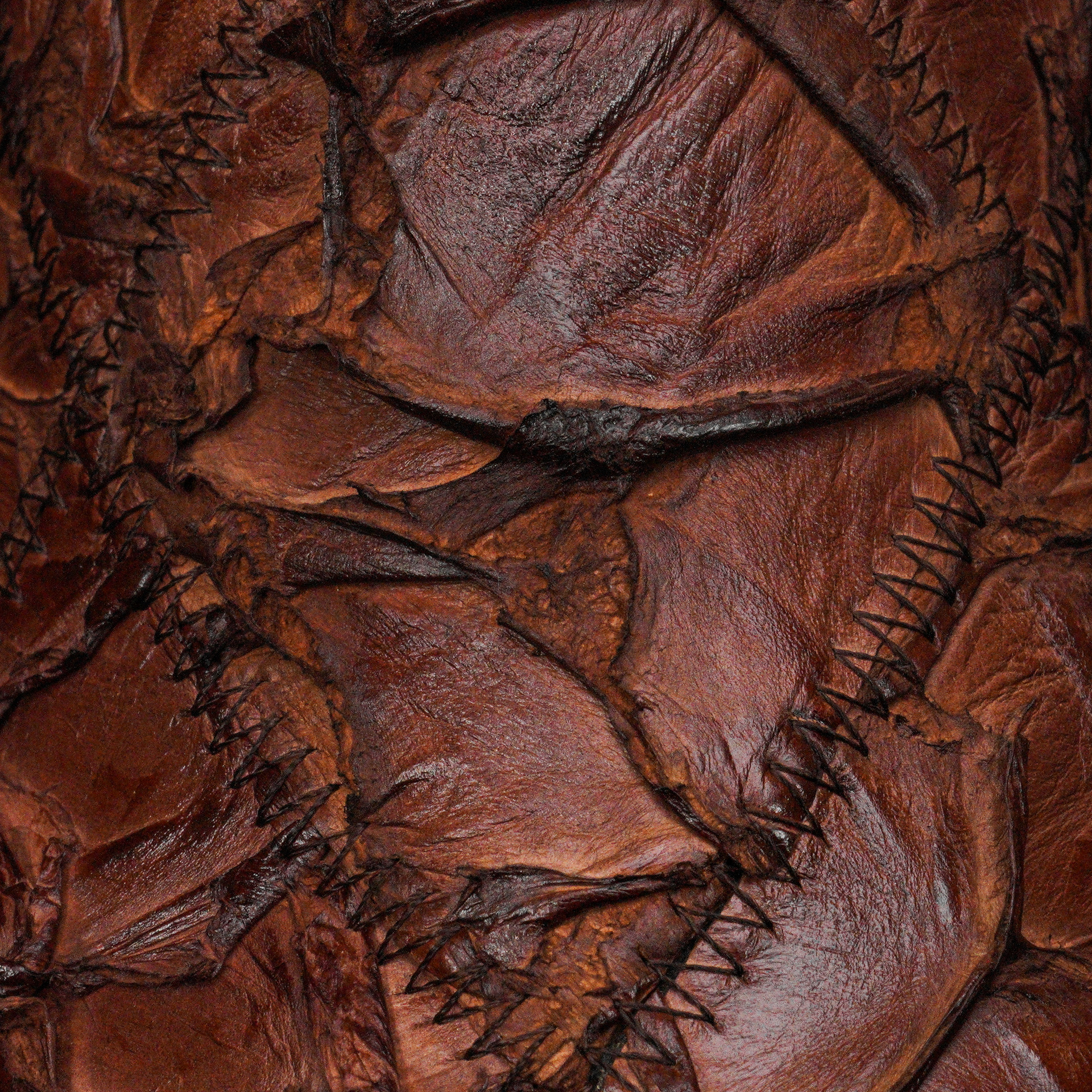 AUTHENTIC Brown Patch Work Pirarucu – Square Toe - Image 4