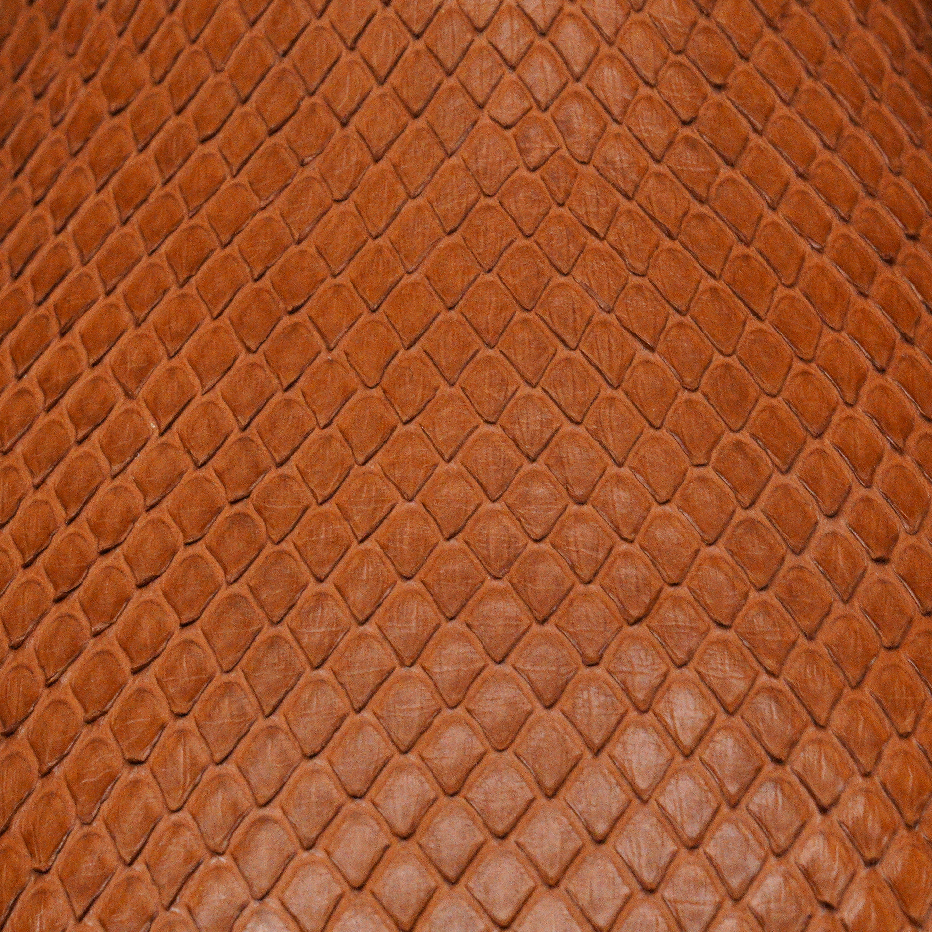 AUTHENTIC Porto Python Belly – Square Toe - Image 5