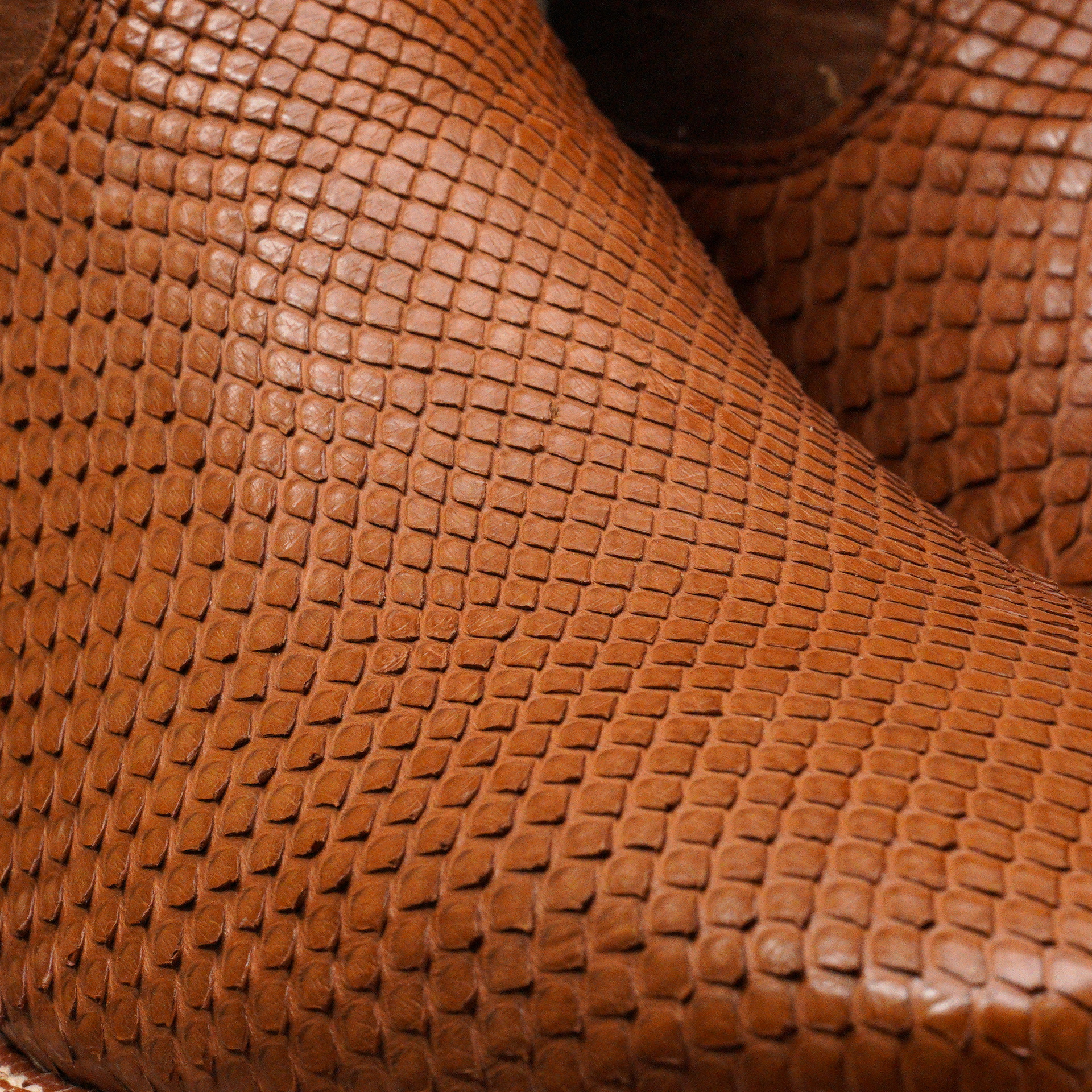 AUTHENTIC Porto Python Belly – Square Toe - Image 4