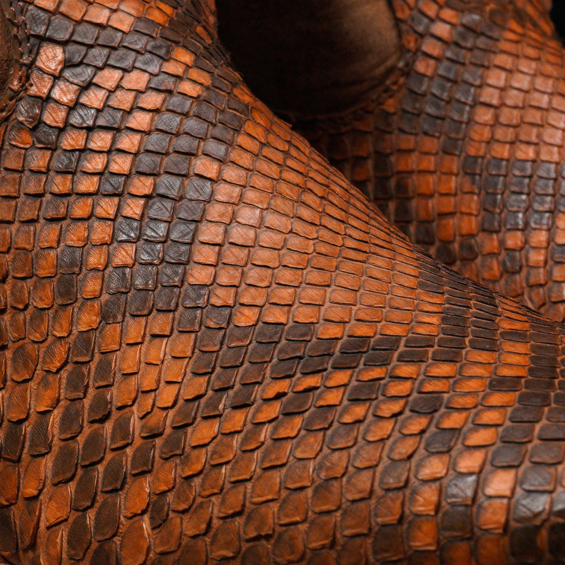 AUTHENTIC Porto Python Belly – Square Toe - Image 4