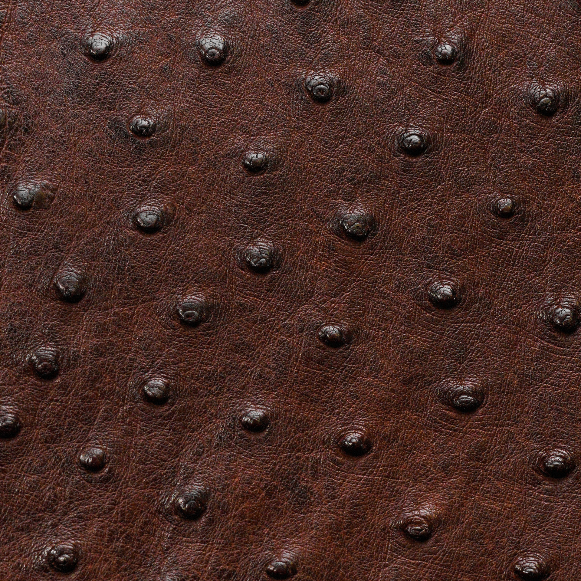 Brown Exotic Ostrich Leather Flap Backpack - Image 5