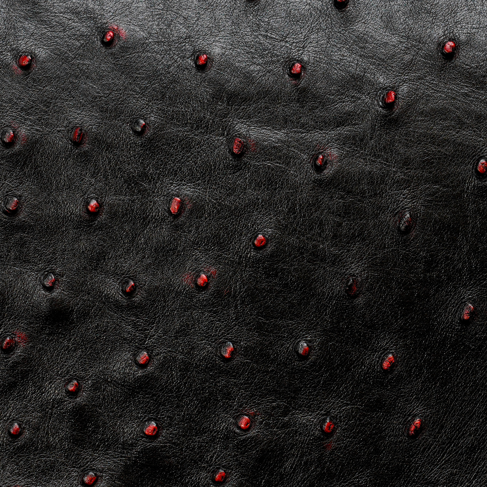 Black Cherry Exotic Ostrich Leather Flap Backpack - Image 4