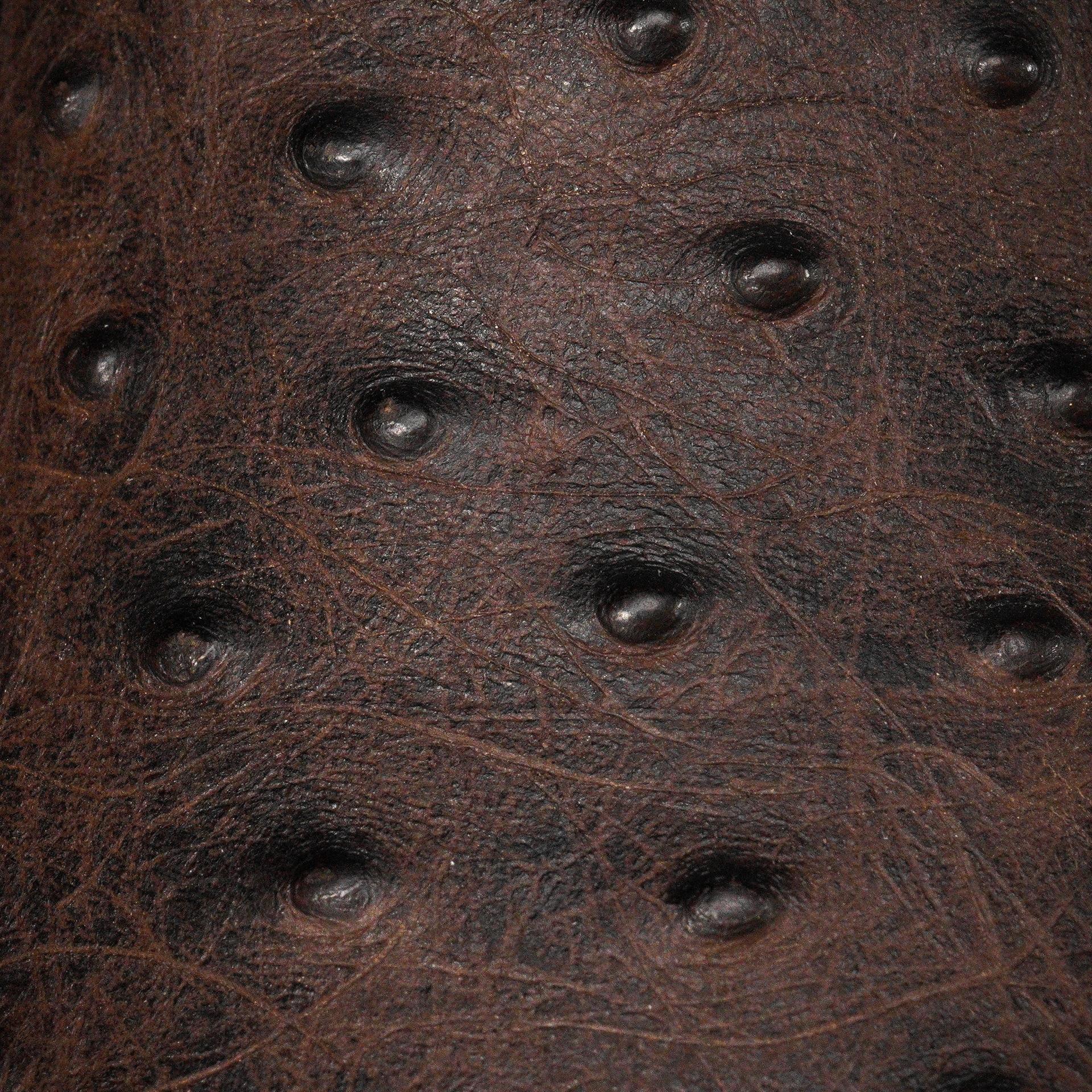 Brown Ostrich - Arena Square Toe - Image 4