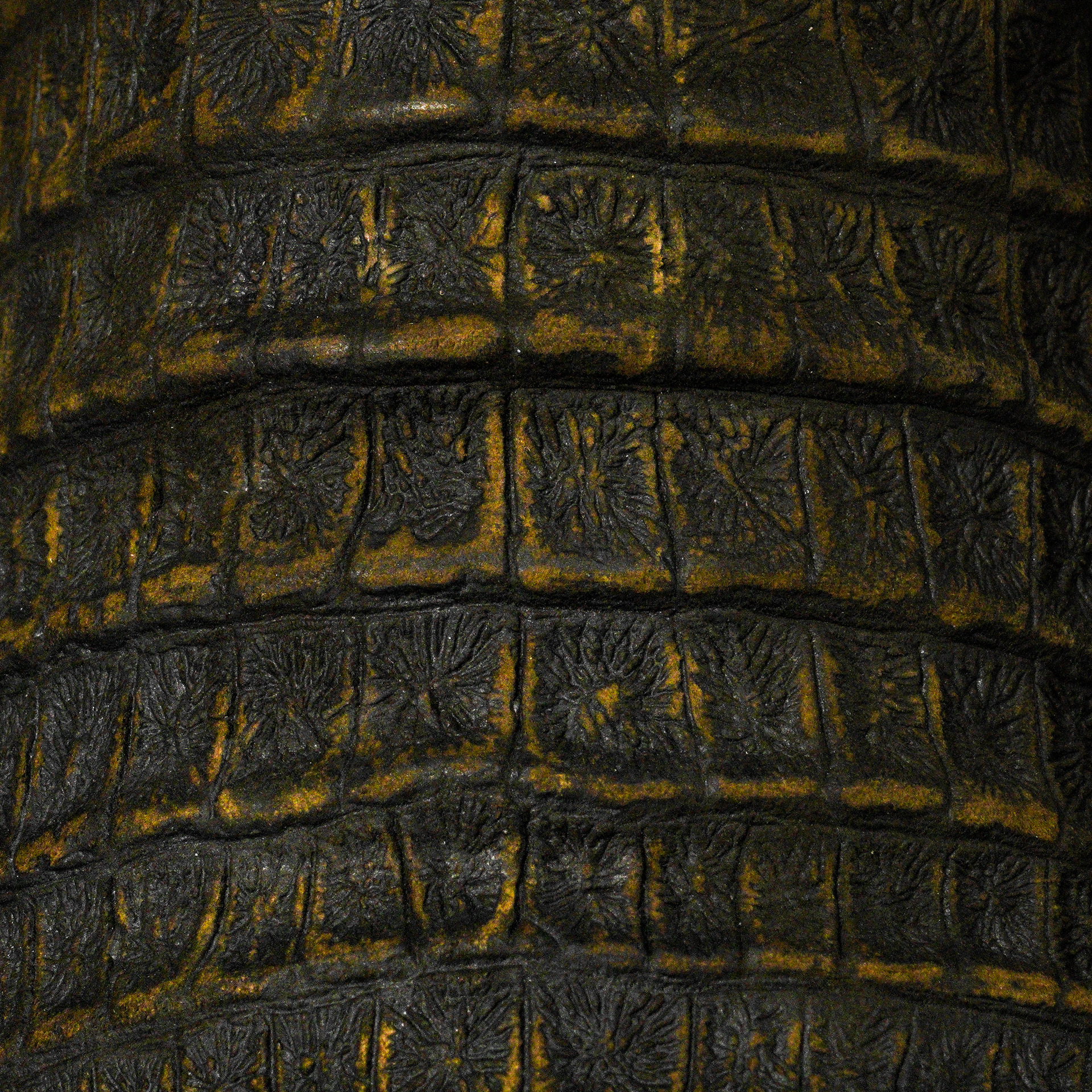 Matte Olive Green Caiman Belly - Square Toe - Image 4