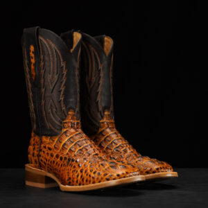 Honey Caiman Neck - Arena Square Toe