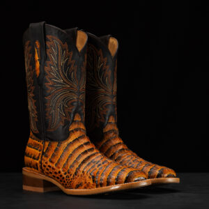 Honey Caiman Belly - Arena Square Toe