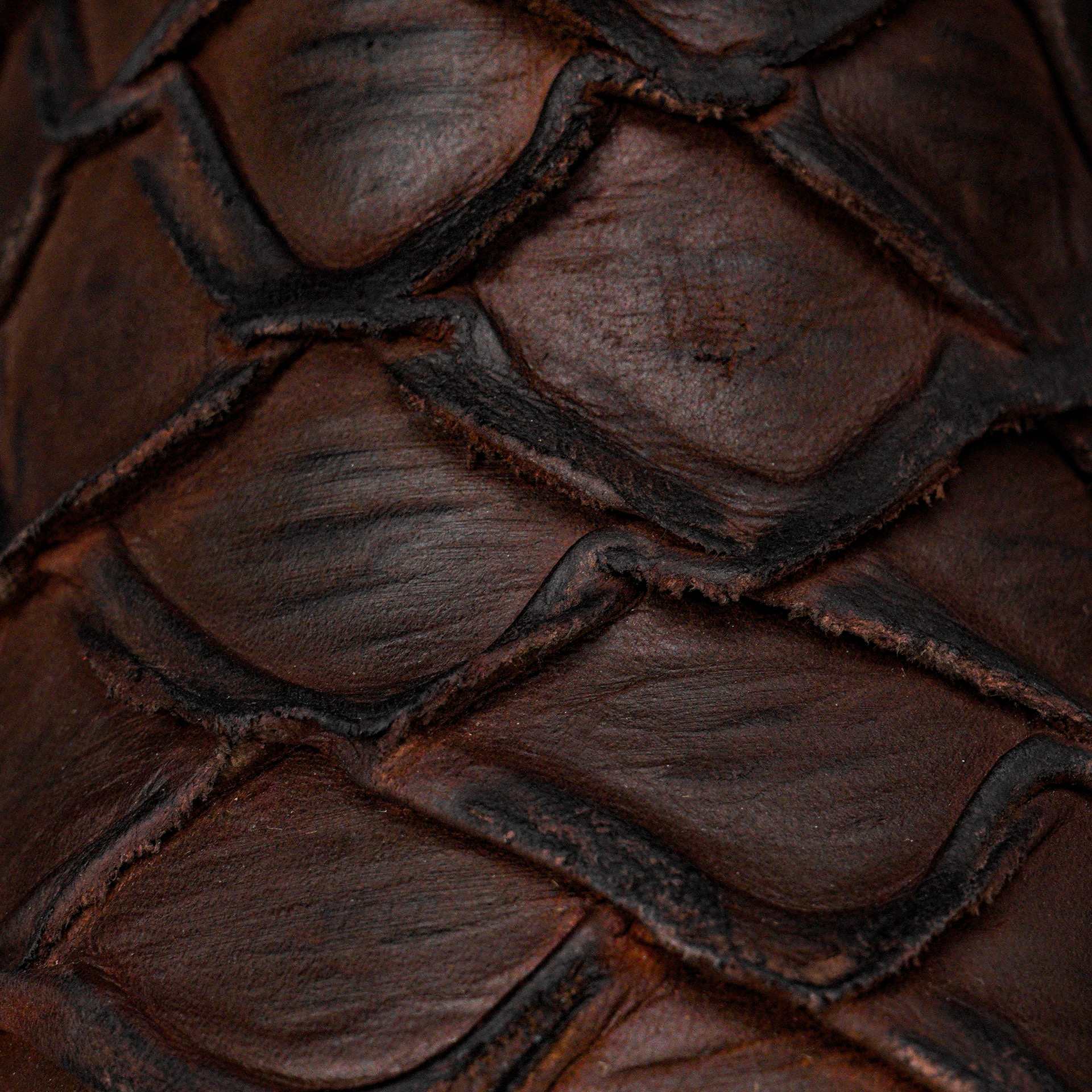 Matte Brown Pirarucu – Ranch Square Toe - Image 4