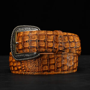 Honey Caiman Belt