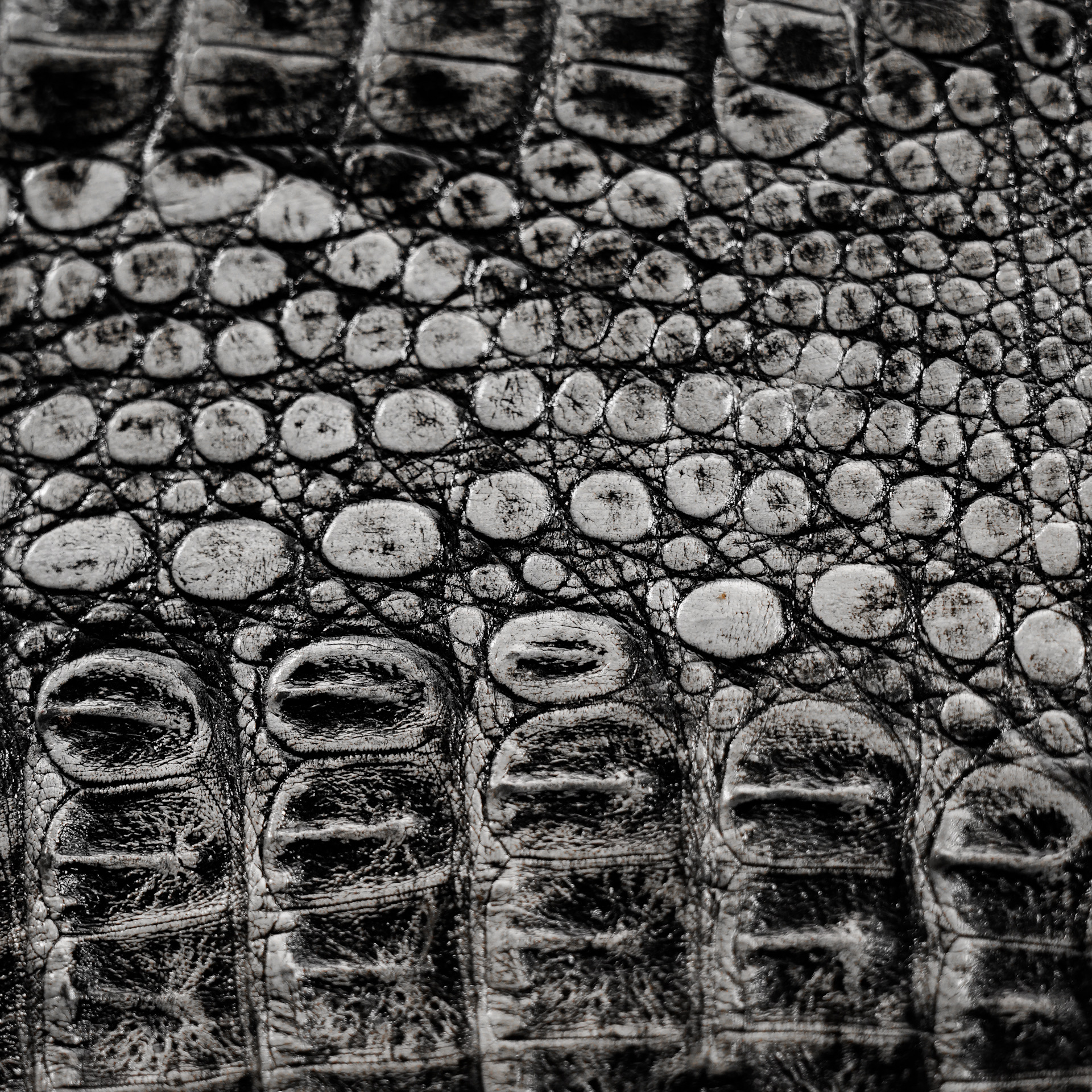 AUTHENTIC Gray Caiman iPhone Case - Image 3