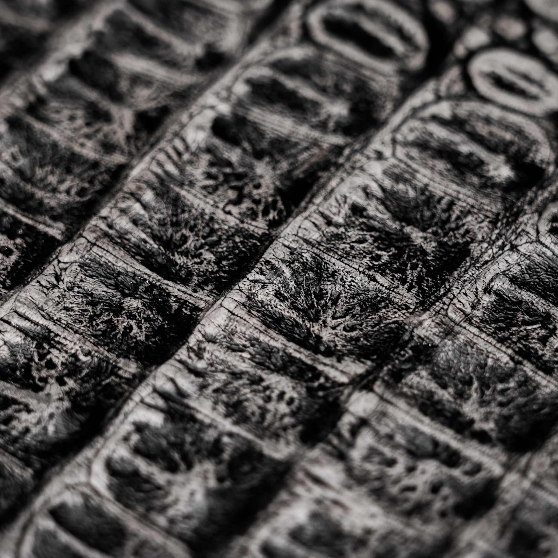 AUTHENTIC Gray Caiman iPhone Case - Image 4