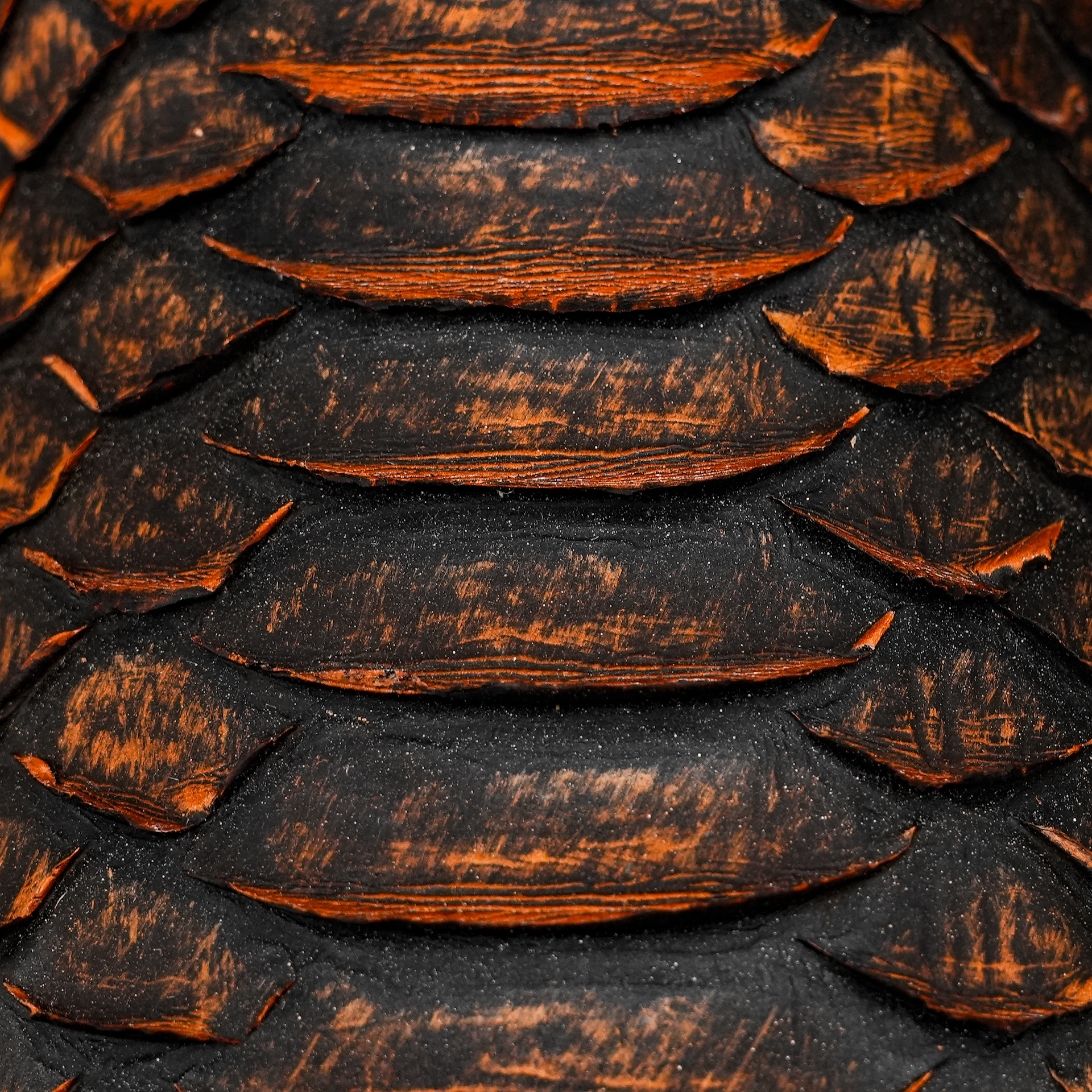 Black/Cognac Python – Square Toe - Image 4