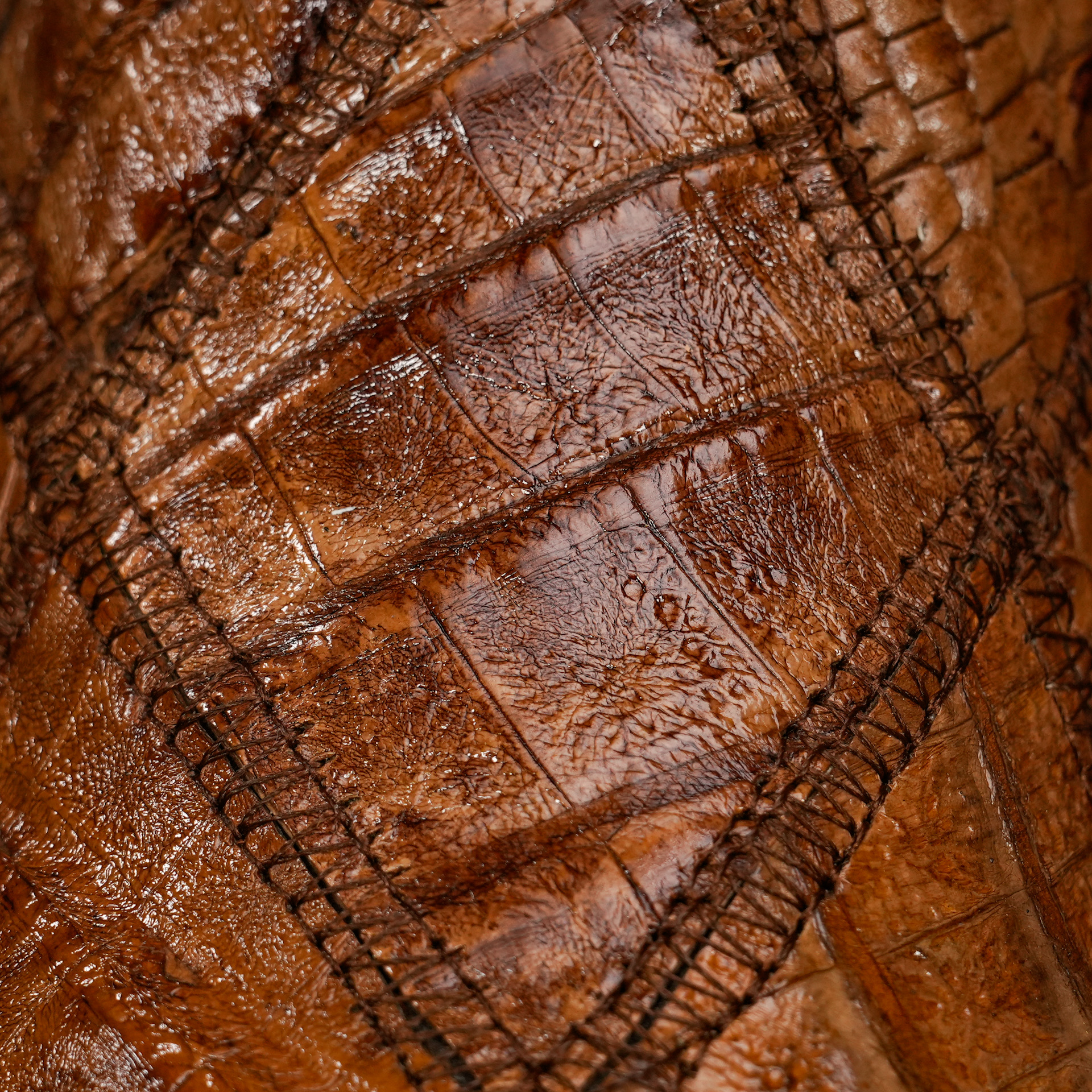AUTHENTIC Honey Patch Work Caiman – Square Toe - Image 4