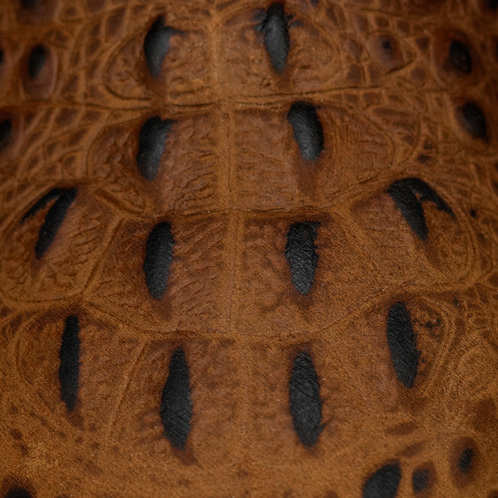 Matte Honey Caiman Neck - Square Toe - Image 4